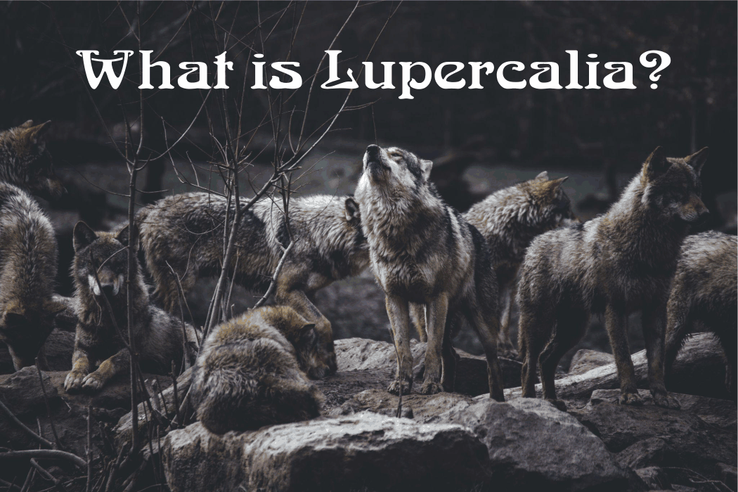 Lupercalia references the legend of Romulus and Remus, the twins suckled by a she-wolf