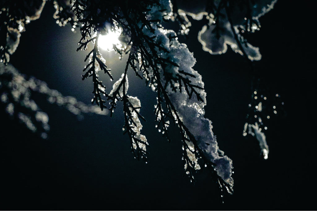 Ancient Pagan Winter Nights: Honoring Ancestors & Spirits