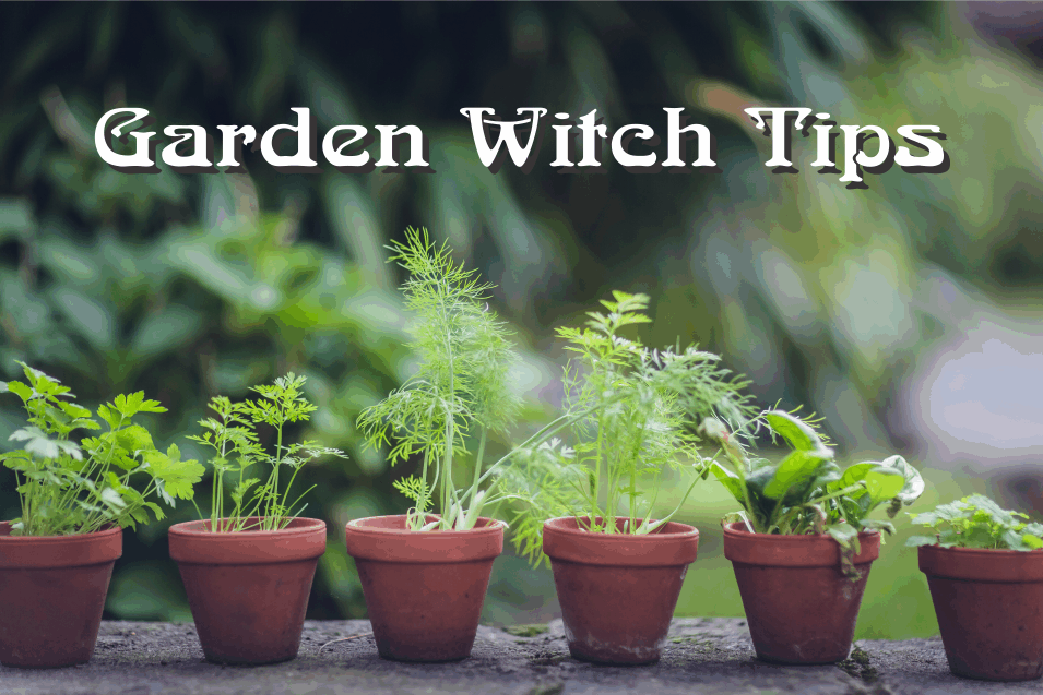 Garden Witch Tips