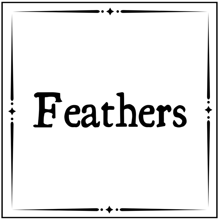 Feathers
