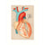 LPW Greeting Cards