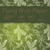 Flying Wish
