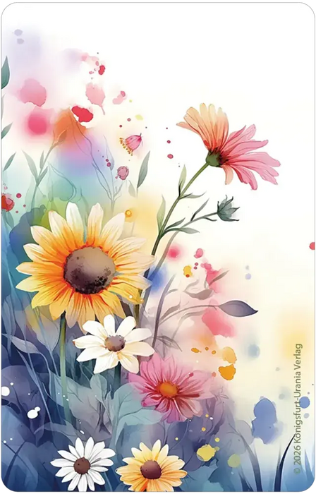 Summer Serenade Lenormand