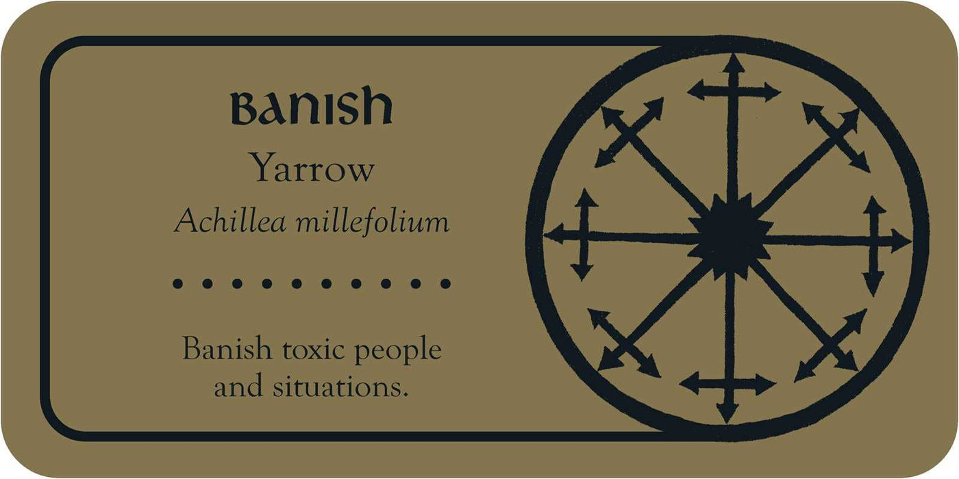 Medieval Herb Sigils by Priestess Moon: Flashcards; 40 pages / English