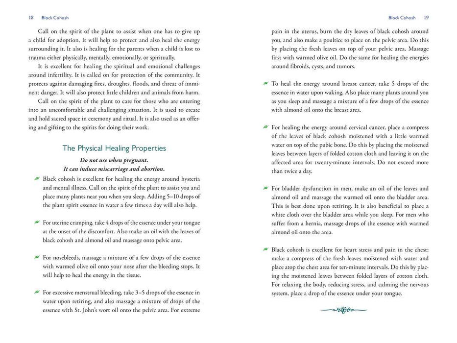 Divine Nature of Plants by Laura Aversano: Paperback