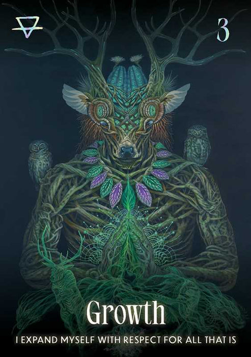 Shamanic Oracle