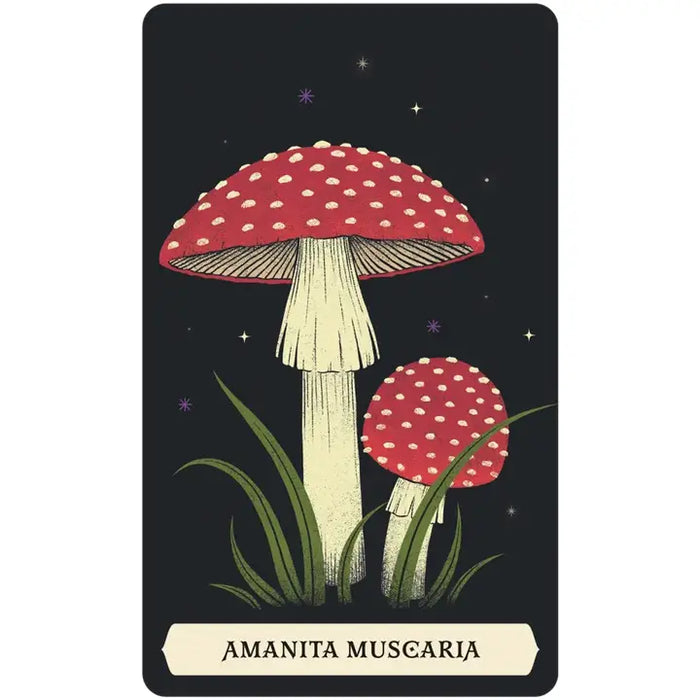 The Secret Oracle of the Green Witch