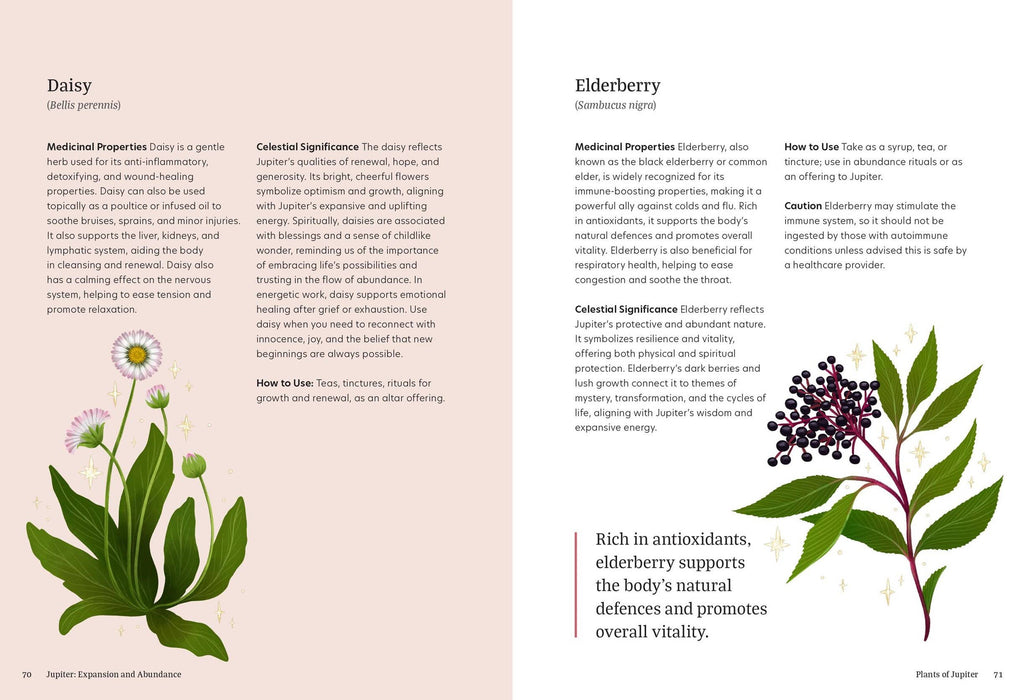 Astro Herbalism: Hardcover