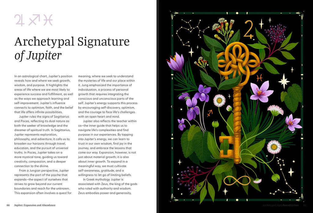 Astro Herbalism: Hardcover