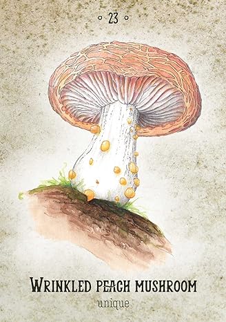 Mushroom Spirit Oracle By Nicola Mcintosh