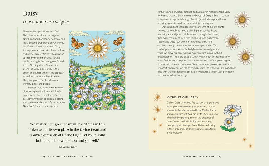 Plant Spirit Wisdom by Karine Gordineer: Paperback; 144 pages / English