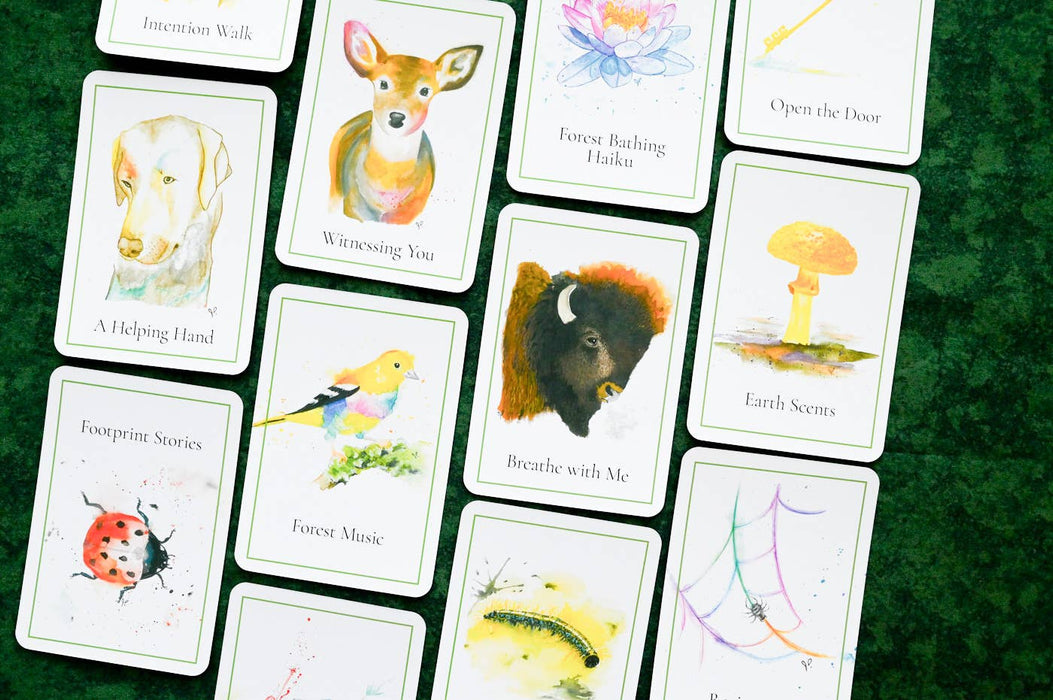 An Invitation to Forest Bathing: 52 Activity Cards