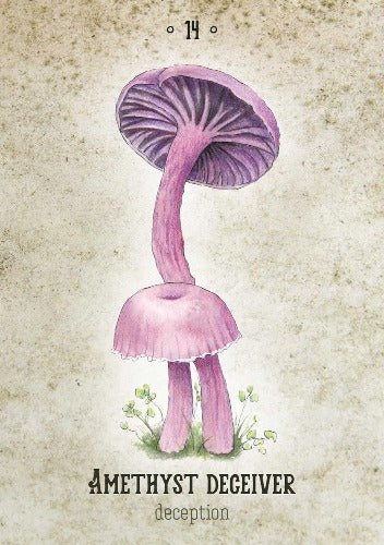Mushroom Spirit Oracle By Nicola Mcintosh