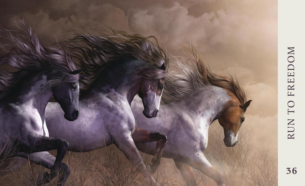 Horse Wisdom Oracle by Kathy Pike