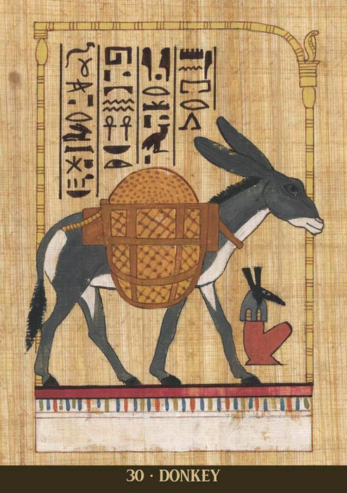 Egyptian Sacred Animals Oracle by Silvana Alasia