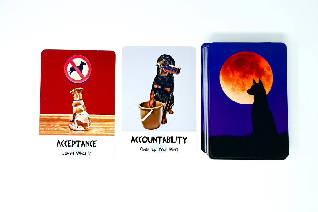 Divine Dog Wisdom Deck: 62 Cards & 144 Page Guidebook