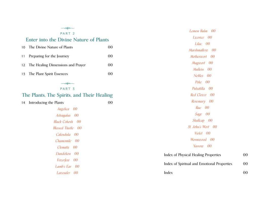 Divine Nature of Plants by Laura Aversano: Paperback