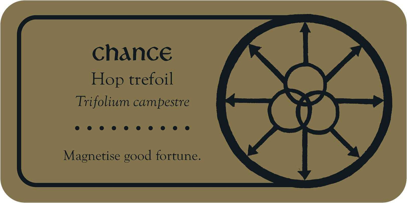 Medieval Herb Sigils by Priestess Moon: Flashcards; 40 pages / English