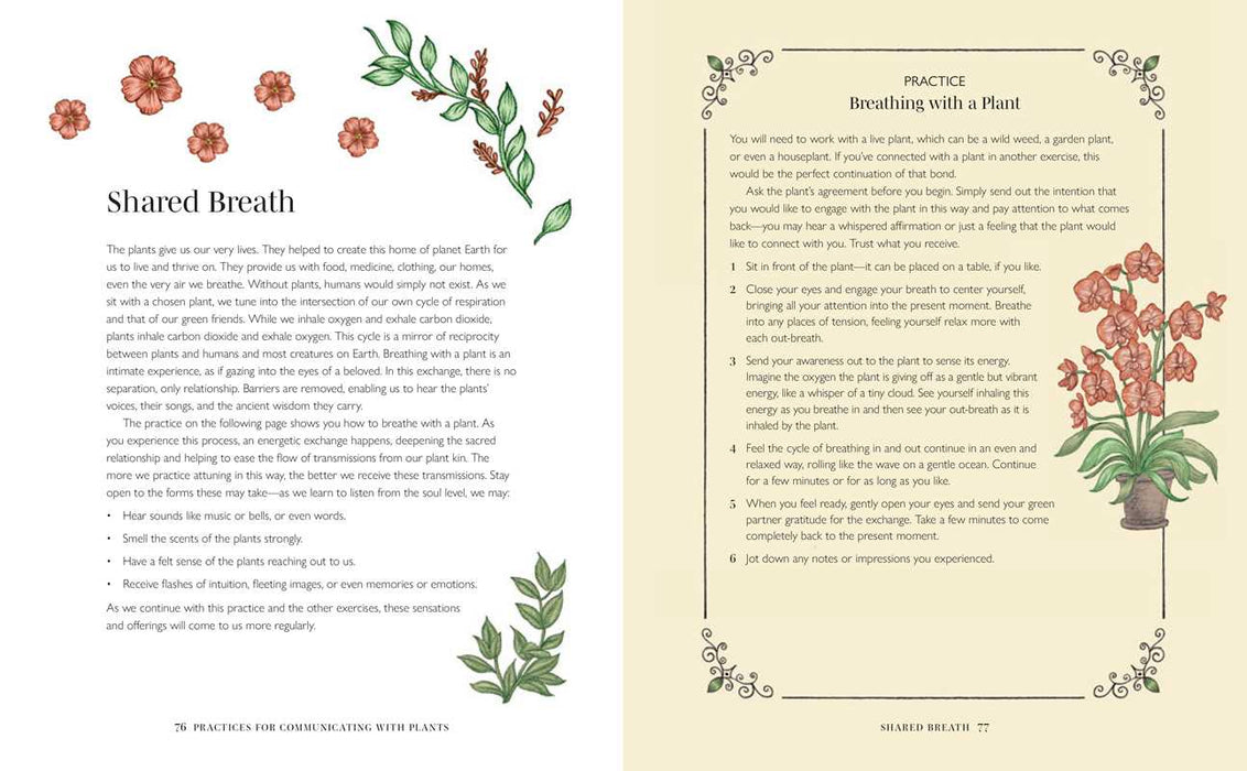 Plant Spirit Wisdom by Karine Gordineer: Paperback; 144 pages / English