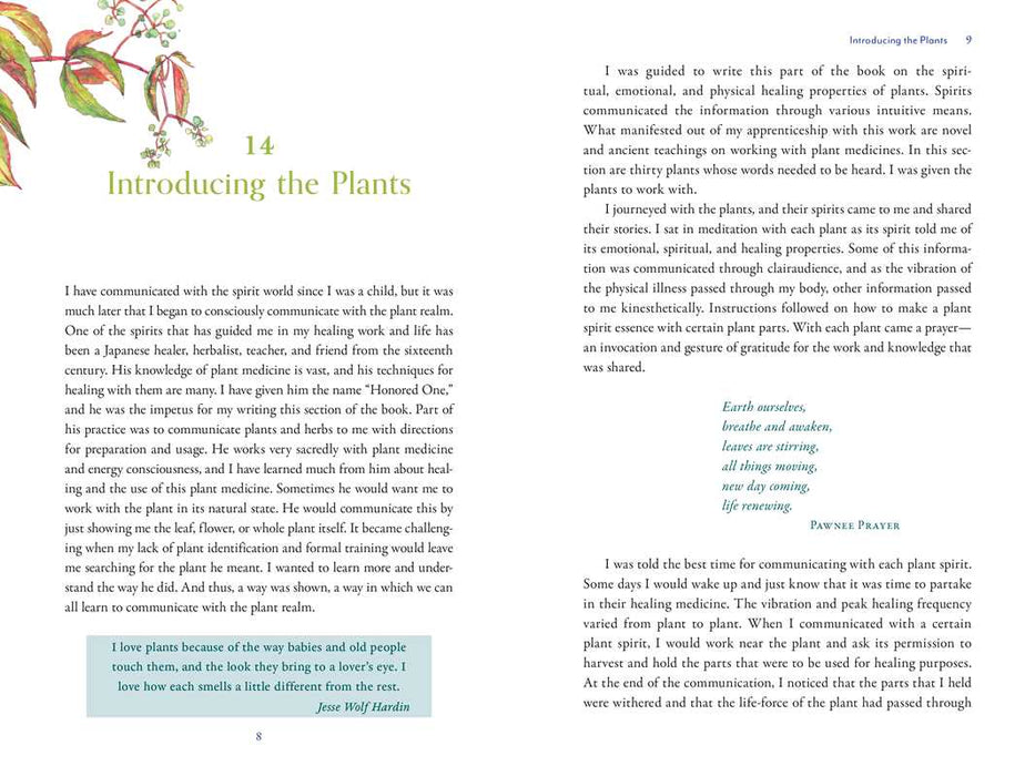 Divine Nature of Plants by Laura Aversano: Paperback
