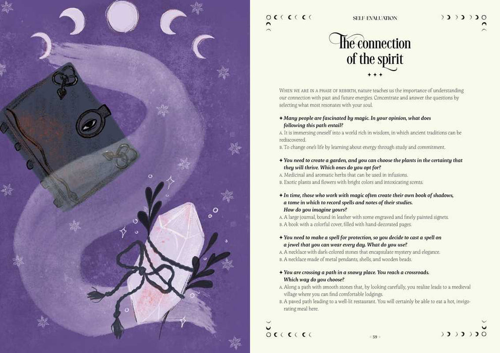 Witch's Wheel of the Year by Federica Vanini: Hardcover; 160 pages / English
