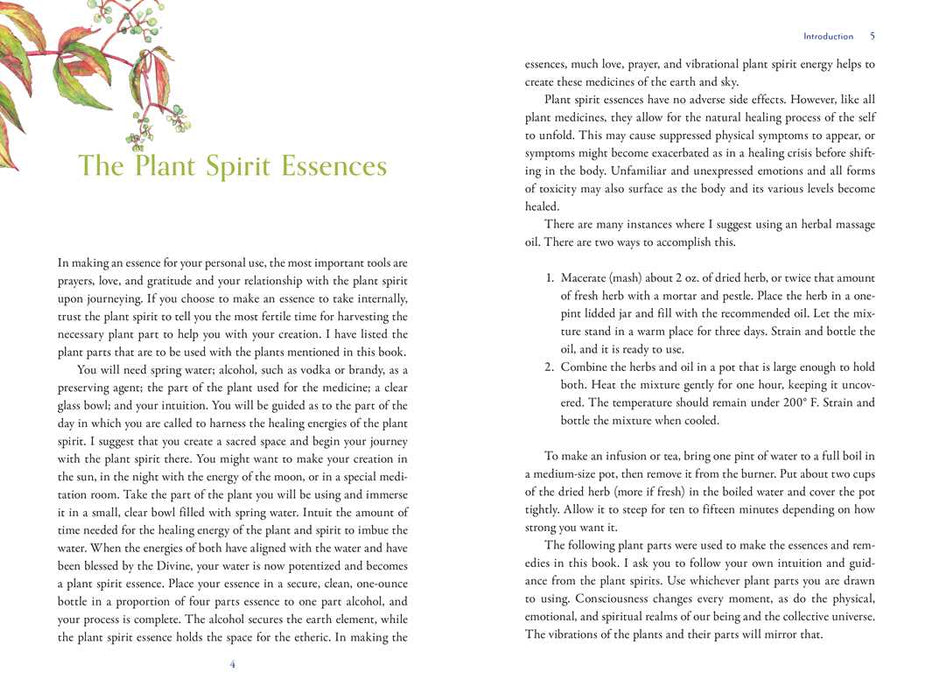 Divine Nature of Plants by Laura Aversano: Paperback