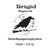 Brigid Oil