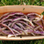 Dragon Tongue Bush Bean Tarot Garden + Gift Seed Packet