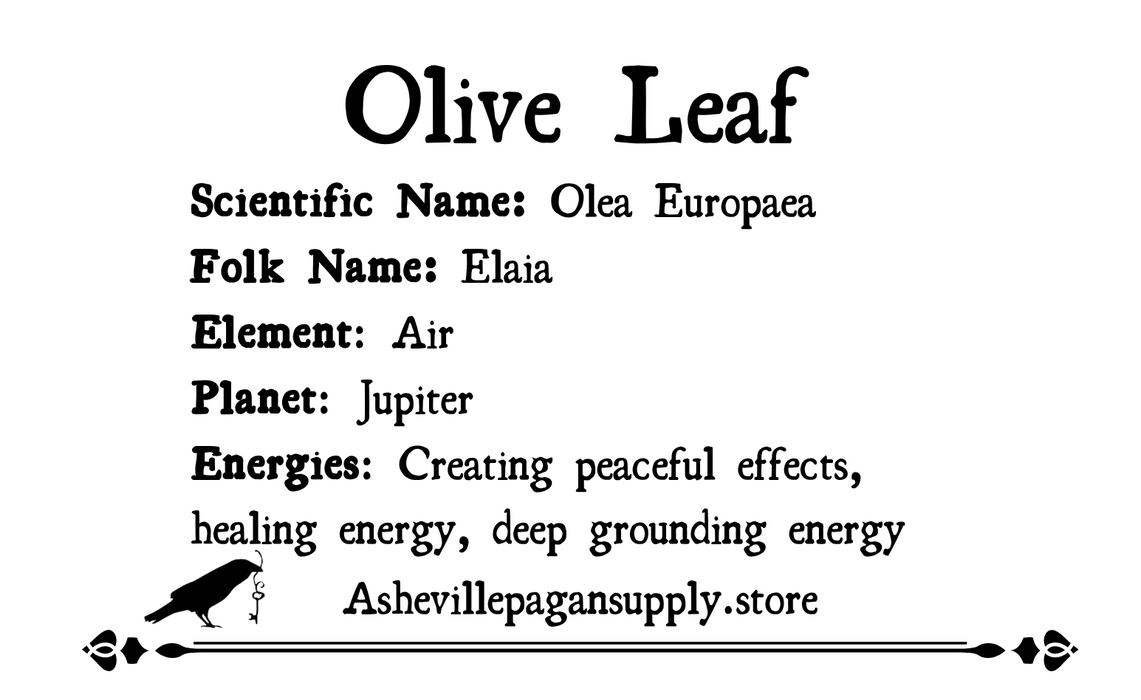 Olive Leaf