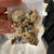 Santa Muerte Ritual Blend