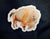 Tim Ballard Creations Stickers