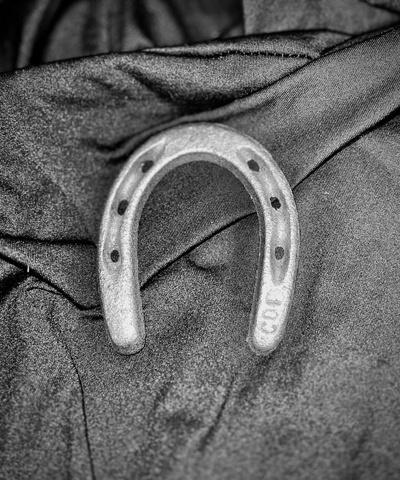 3.5" Cast Iron Metal Horseshoe
