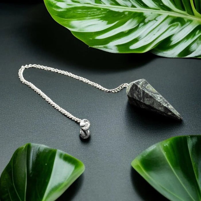 Kambaba Jasper Gemstone Pendulum Silver Color Chain