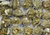 Muscovite Mica