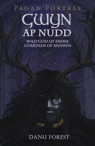 Pagan Portals - Gwyn ap Nudd by Danu Forest