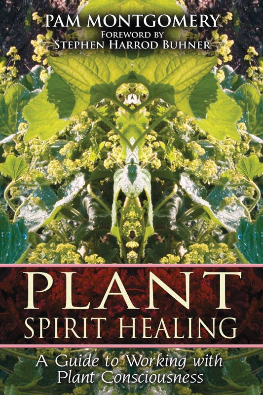 Plant Spirit Healing by Pam Montgomery