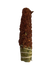 Sagrada Madre Sahumitos