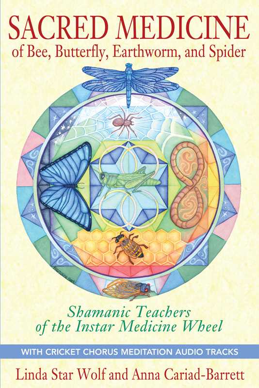 Sacred Medicine of Bee, Butterfly, Earthworm, and Spider by Linda Star Wolf