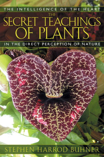 Secret Teachings of Plants by Stephen Harrod Buhner