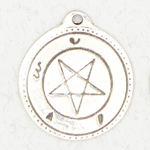Talisman Necklace - Good Fortune: Pewter
