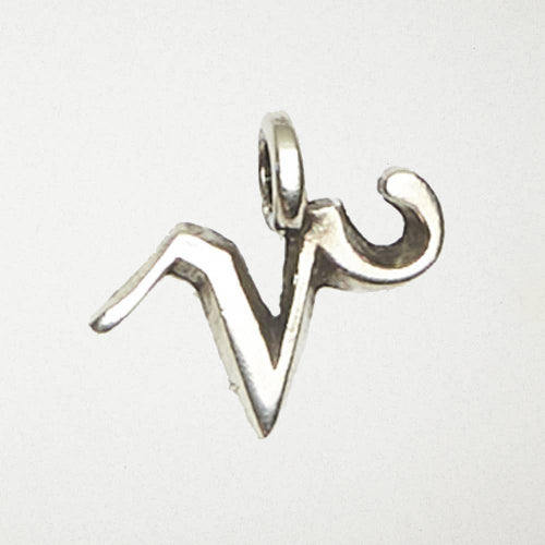 Zodiac Necklace - Capricorn: Pewter