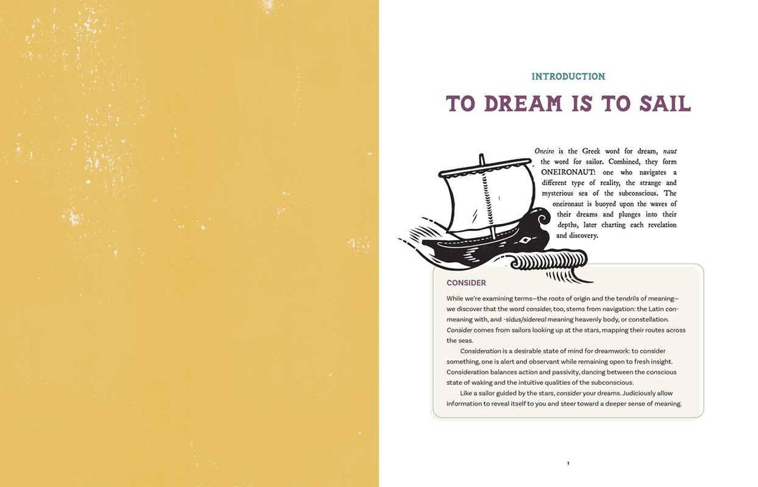 Dream Atlas by Fiona  Cook