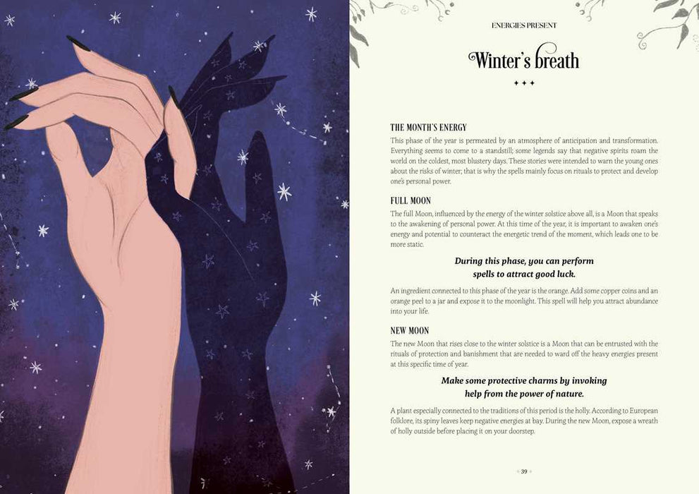 Witch's Wheel of the Year by Federica Vanini: Hardcover; 160 pages / English