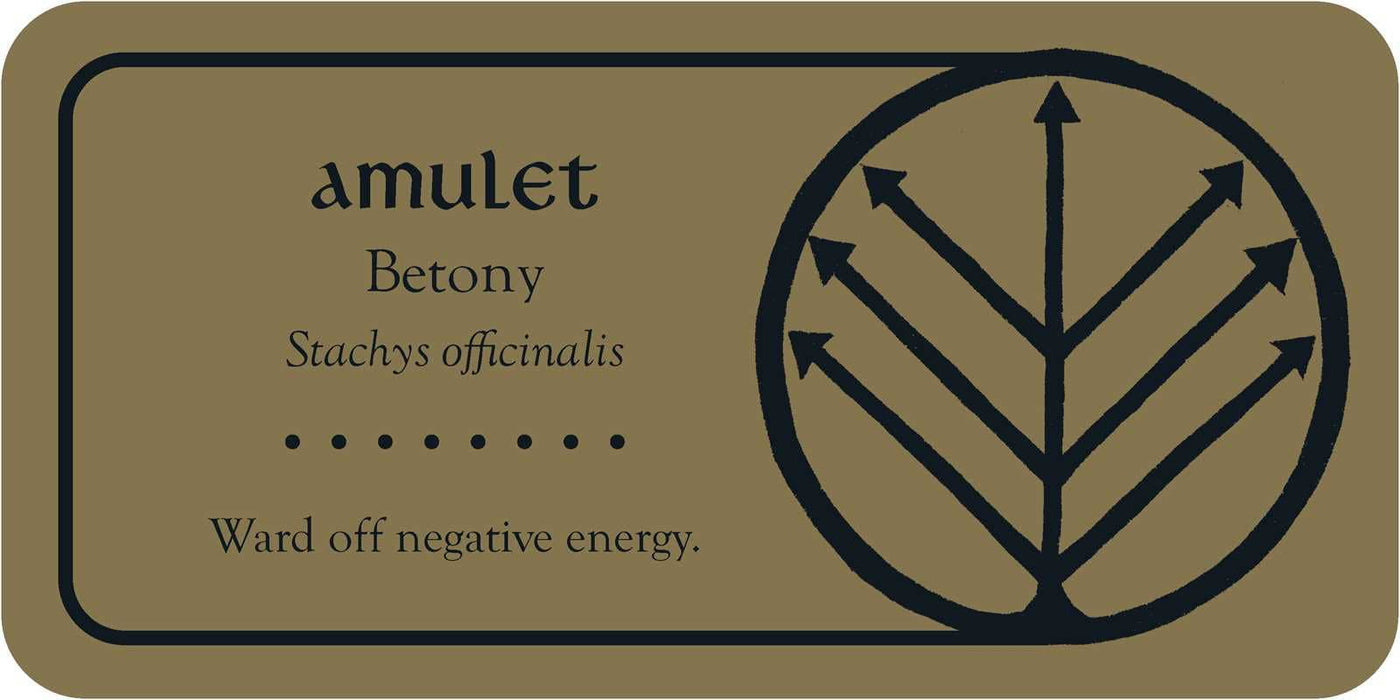 Medieval Herb Sigils by Priestess Moon: Flashcards; 40 pages / English