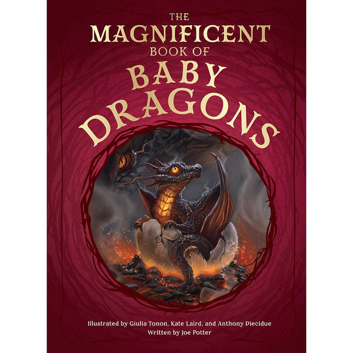 The Magnificent Book of Baby Dragons