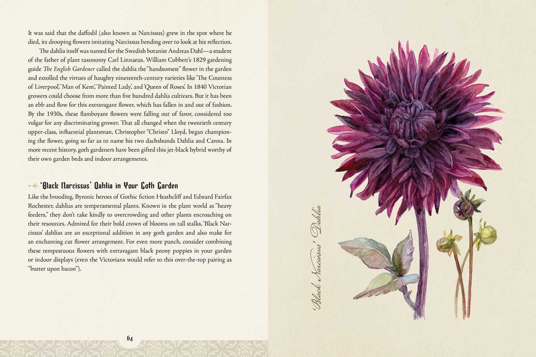 Goth Garden by Felicia Feaster: Hardcover