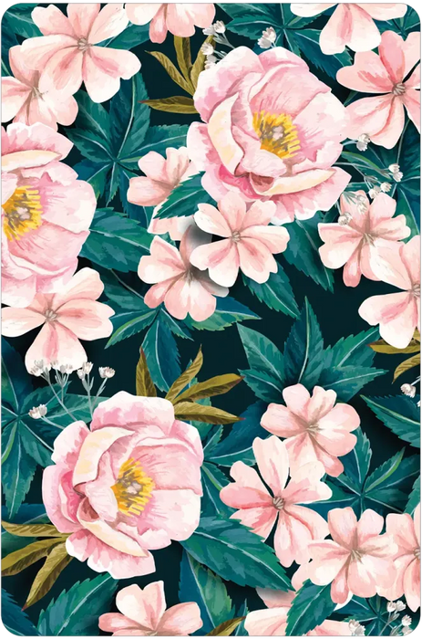 The Wild Witch Oracle: Shapeshifters, Rebels & Queens