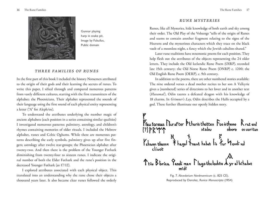 Futhark Rune Mysteries by Judith Dillon: Paperback; 192 pages / English