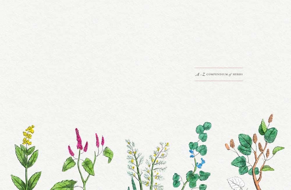 Culpeper's Complete Herbal: Trade Paperback
