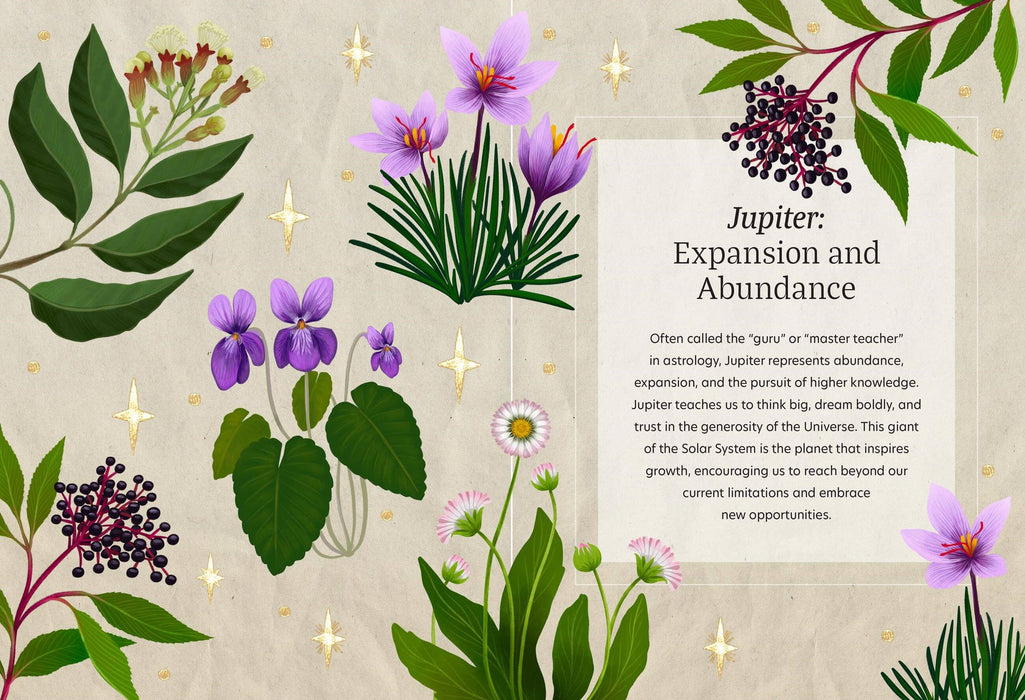 Astro Herbalism: Hardcover